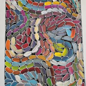 Bush Yam Dreaming - Louise Numina