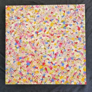Bush Plum Dreaming - Bessie Pitjara Petyarre