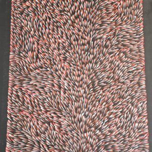 Bush Medicine Leaves Dreaming - Samantha Morgan