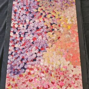 Bush Plum Dreaming - Polly Ngala